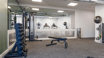 Free weights